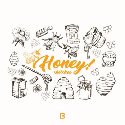 وکتور زیبا با موضوع عسل و زنبورعسل
