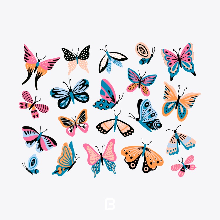 مجموعه ۲۰ وکتور پروانه