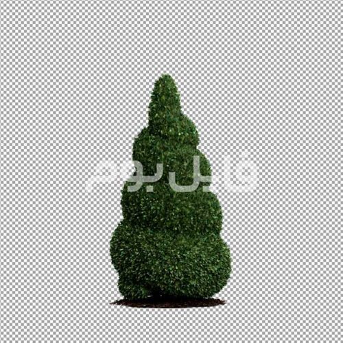تصویر بدون پس زمینه درخت توپیاری – کد 116