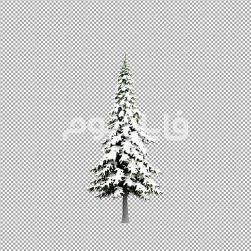 تصویر بدون پس زمینه درخت کاج پوشیده از برف – کد 113