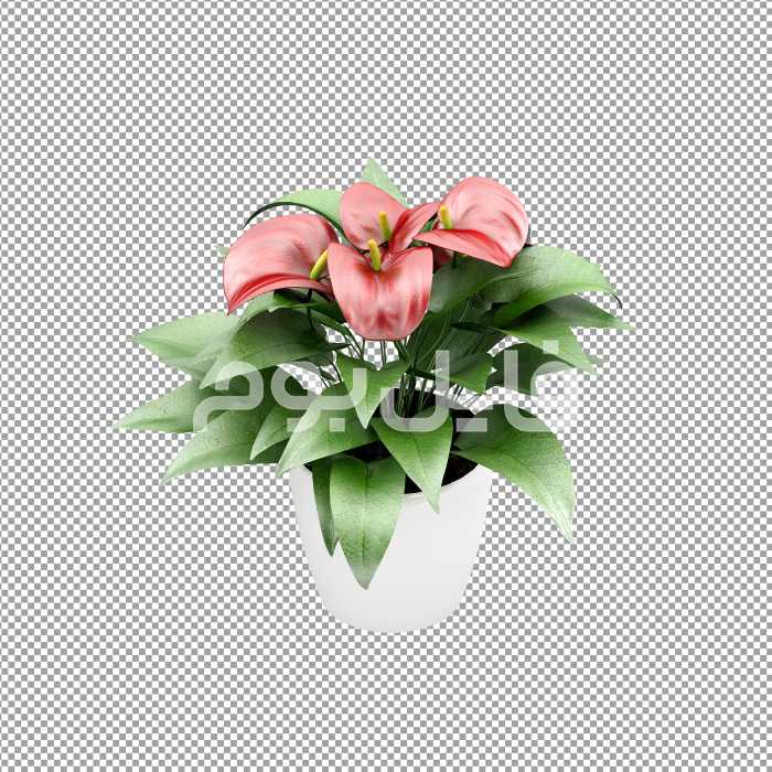 تصویر بدون پس زمینه گلدان گل شیپوری – کد 146