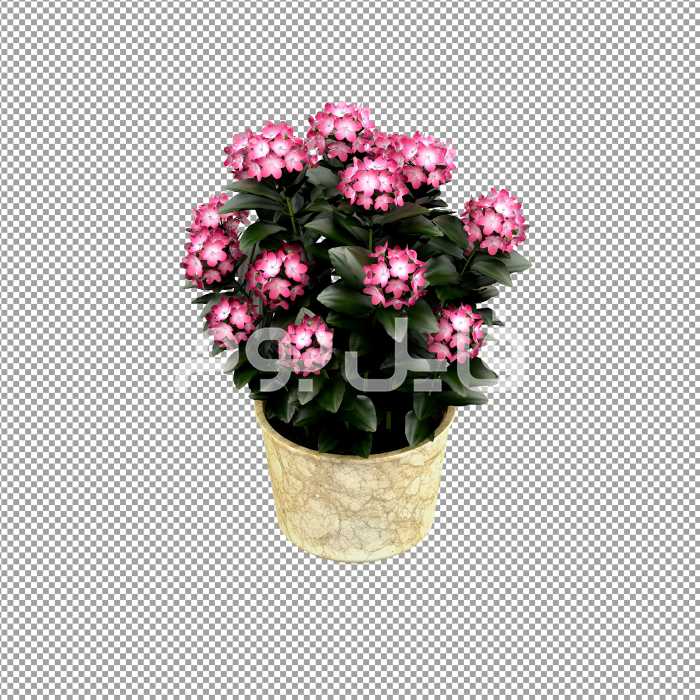 تصویر بدون پس زمینه گلدان گل ادریسی – کد 138