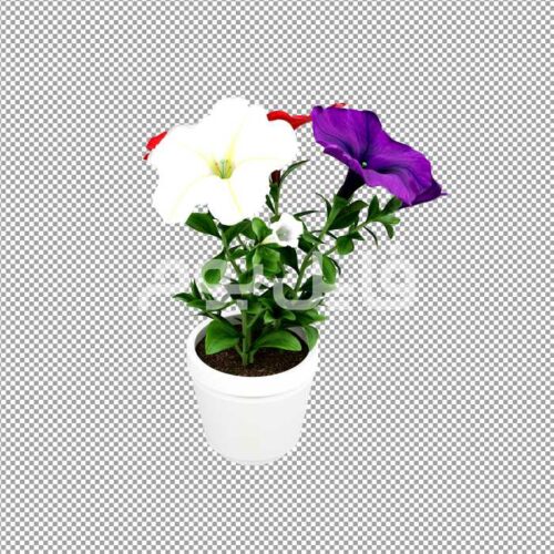 تصویر بدون پس زمینه گلدان گل اطلسی – کد 161