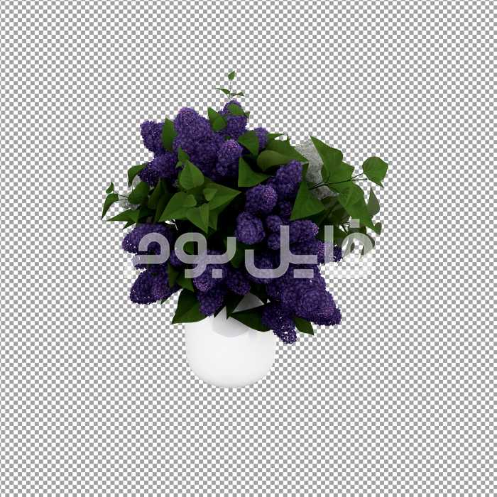 تصویر بدون پس زمینه گلدان گل ویستریا – کد 139