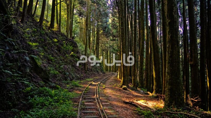 50 تصویر استوک قطار