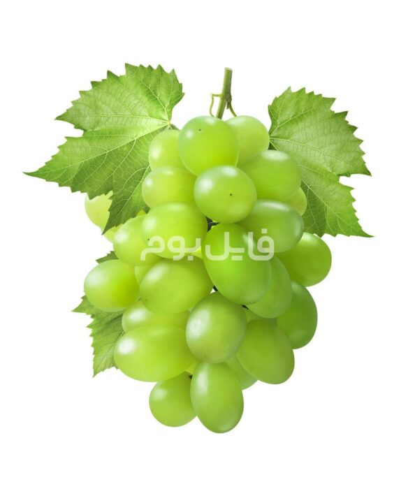 25 عکس استوک میوه جات تازه