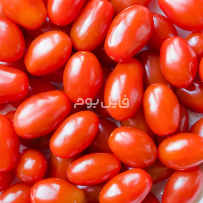 25 عکس استوک گوجه فرنگی