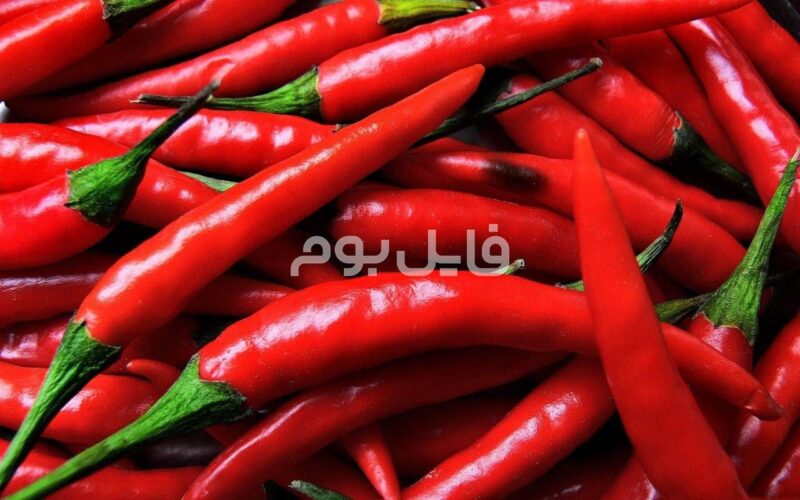 30 عکس استوک فلفل هالوپینو