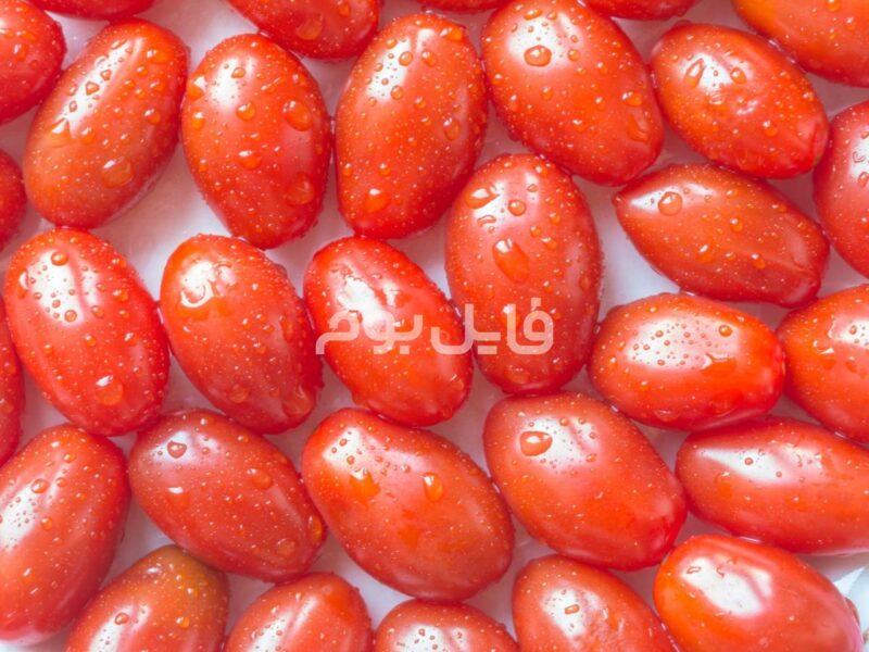 25 عکس استوک گوجه فرنگی