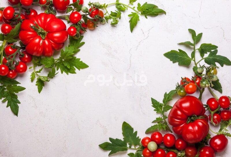 25 عکس استوک گوجه فرنگی