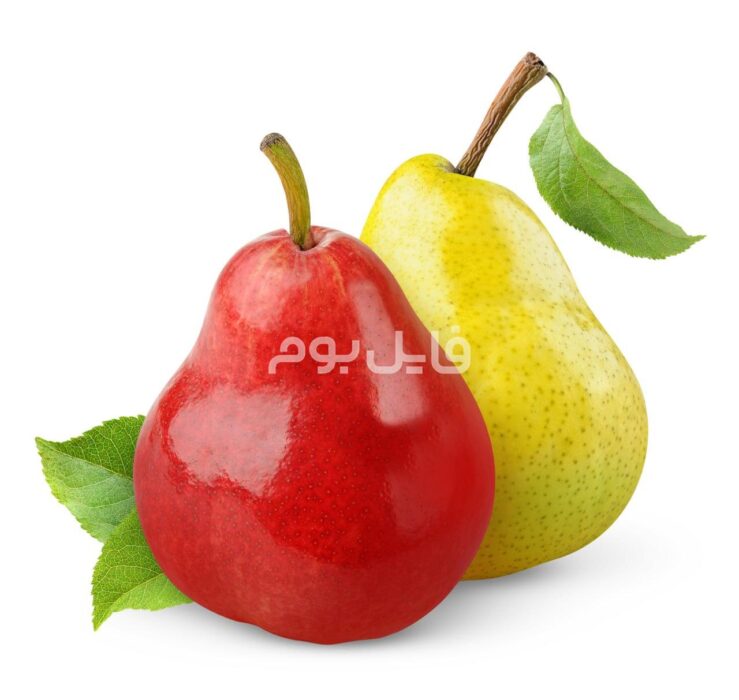 25 عکس استوک میوه