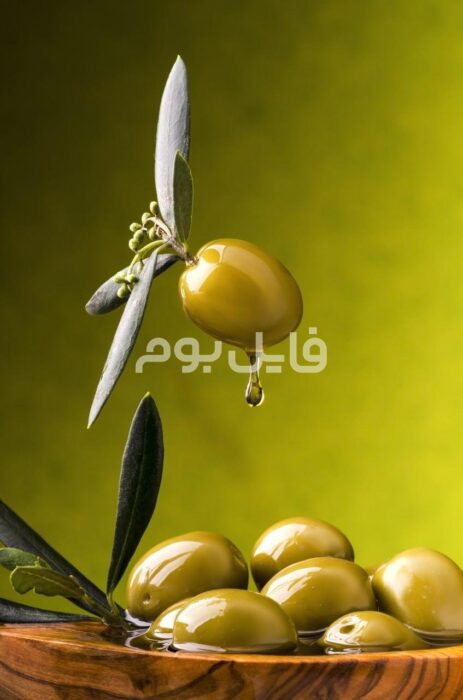 27 عکس استوک روغن زیتون