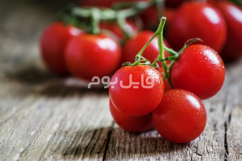 25 عکس استوک گوجه فرنگی