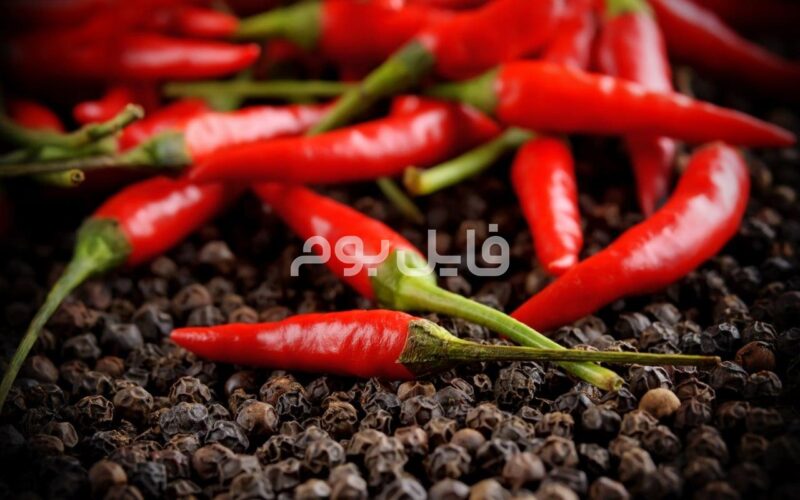 30 عکس استوک فلفل هالوپینو