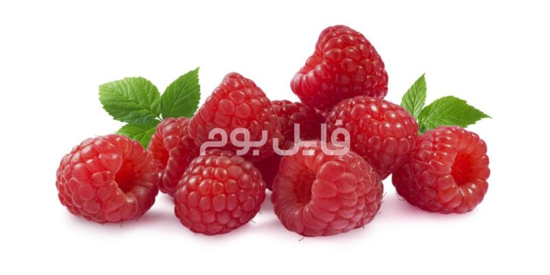 25 عکس استوک میوه جات تازه