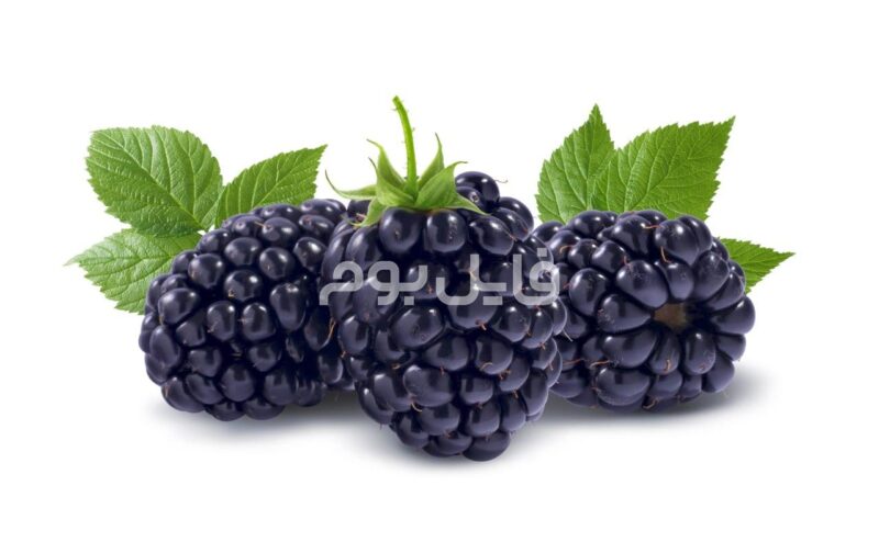 25 عکس استوک میوه جات تازه